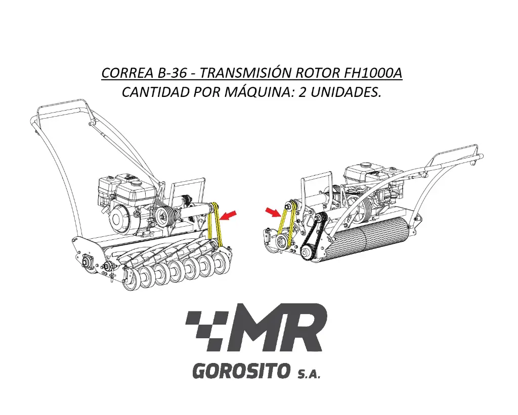 correa b36 FH1000.webp