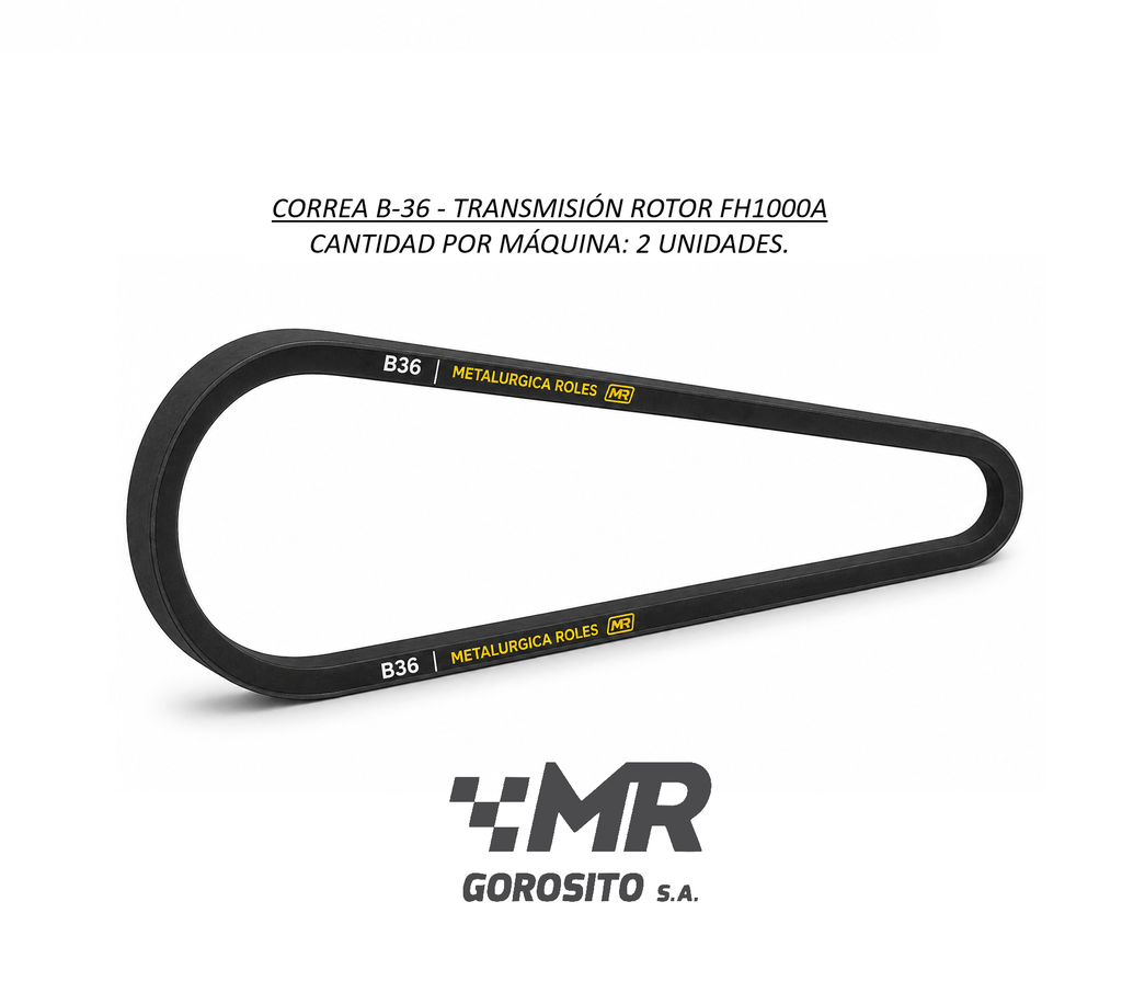 CORREA B36